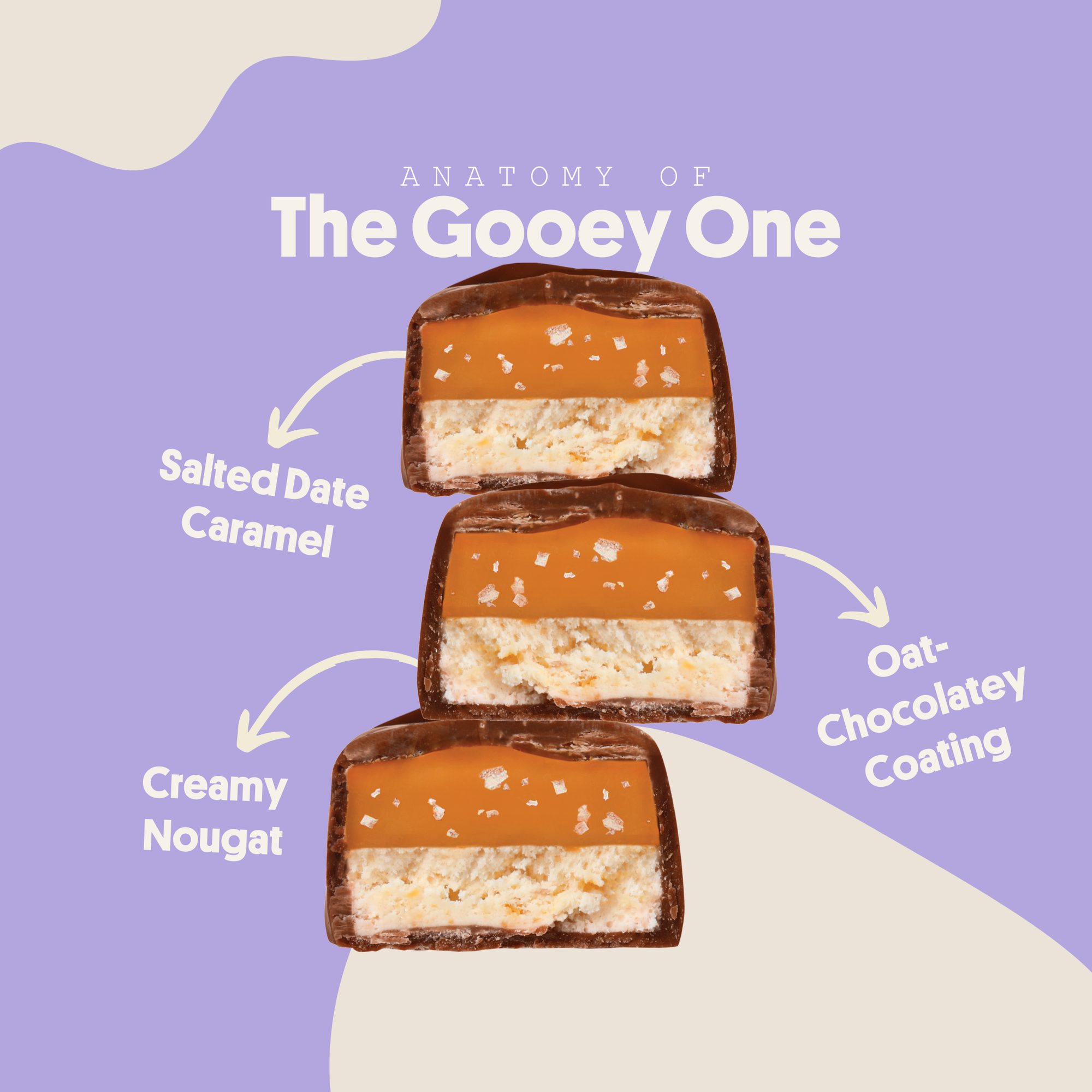 THE GOOEY ONE® (12-Pack): Salted Date Caramel